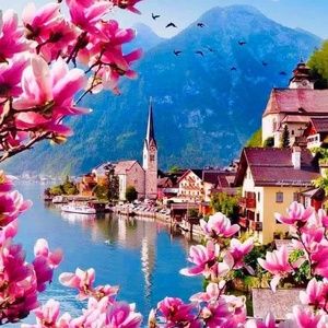 Meet your Posher, Misty jo